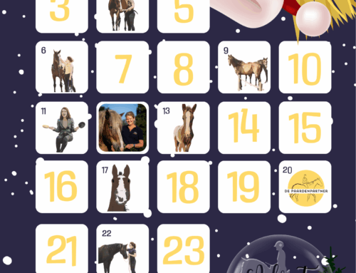 Deelname adventkalender