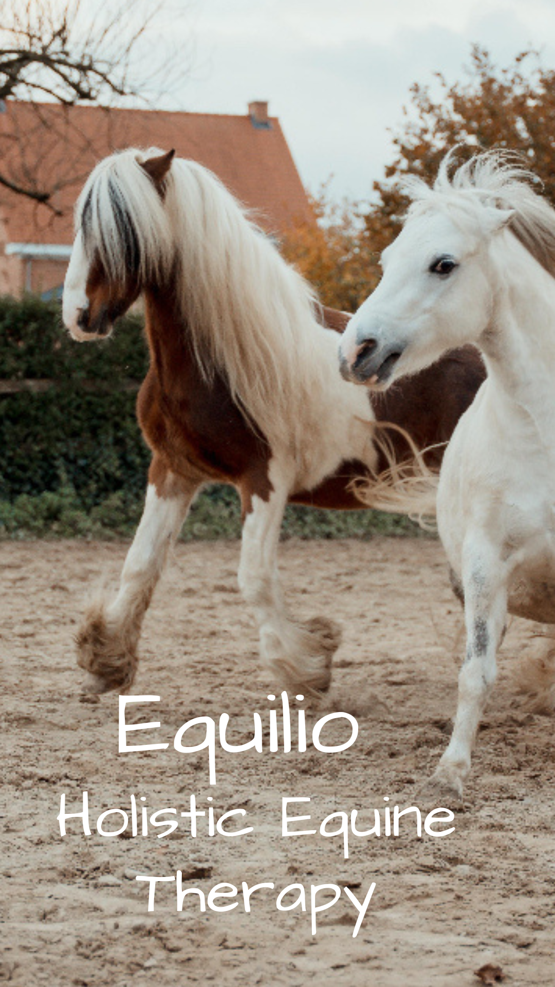 Ontwerp zonder titel (9)