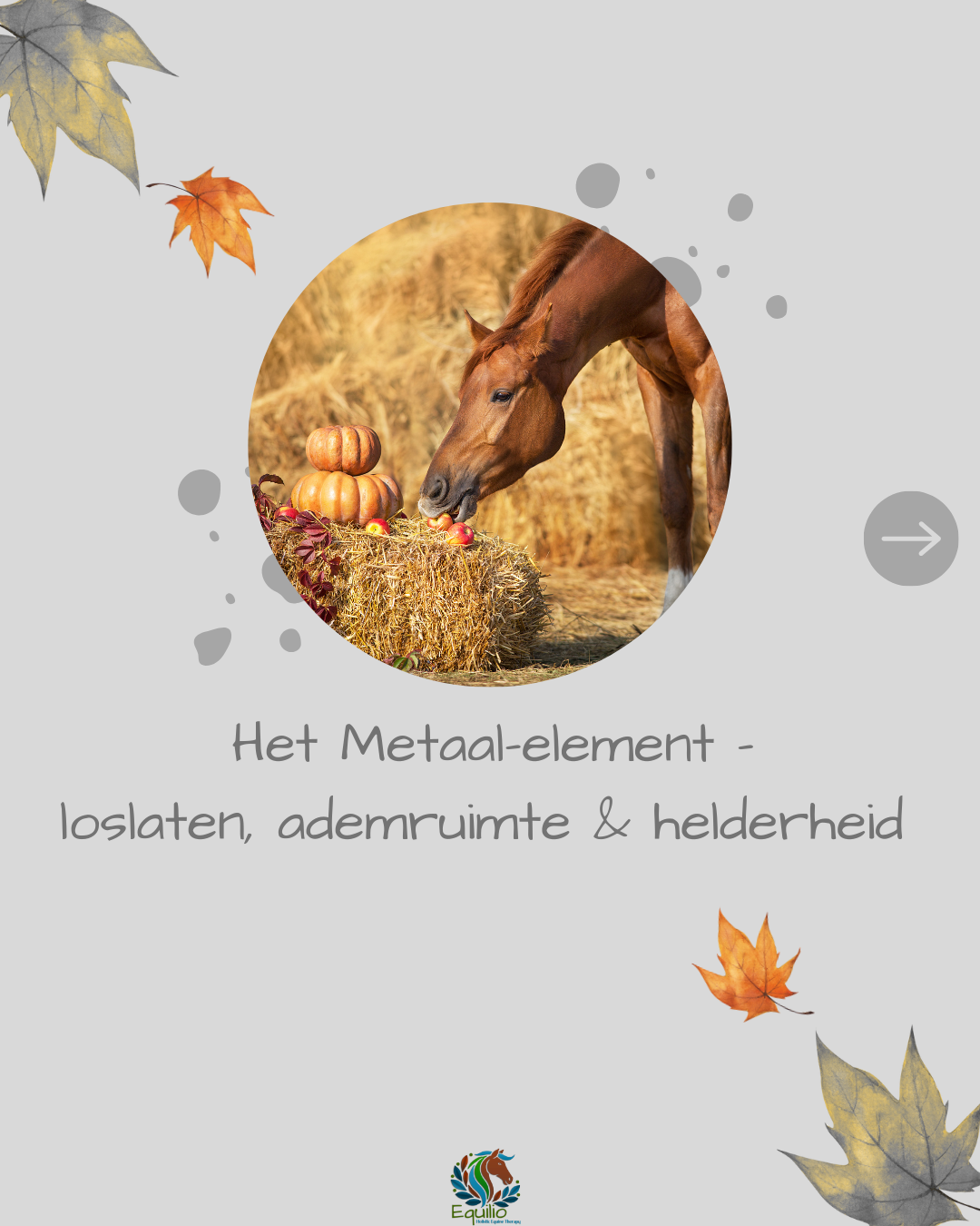 De herfst is het seizoen van het Metaal-element